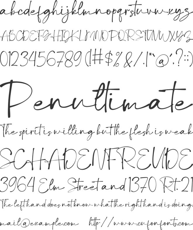 Debora Celina Script font preview