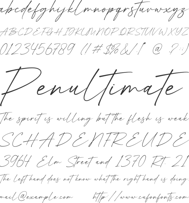 Hollins font preview