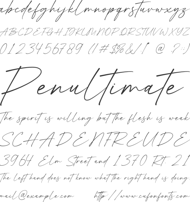 Hollins font preview