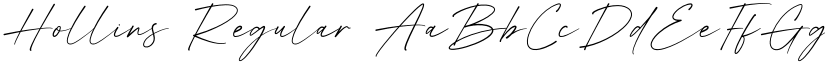 Hollins Regular font