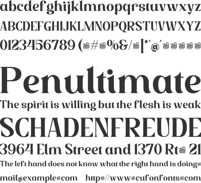 WALLYOZ Trial font preview