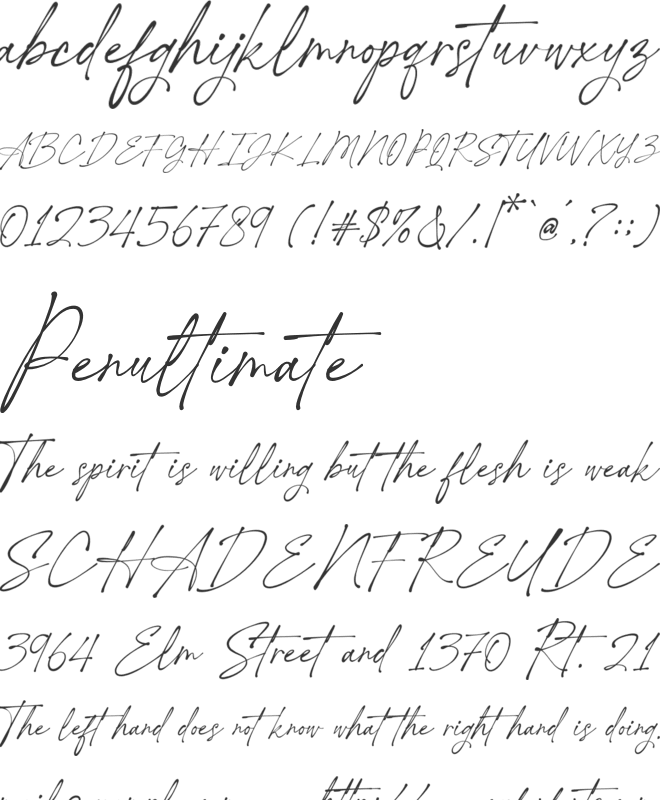 Hanifah Salamah font preview