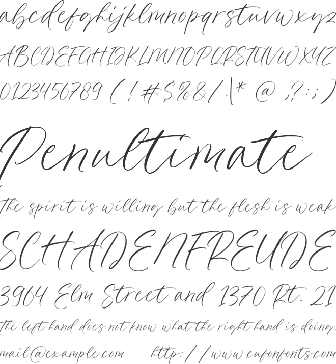 Dancing Matilda font preview