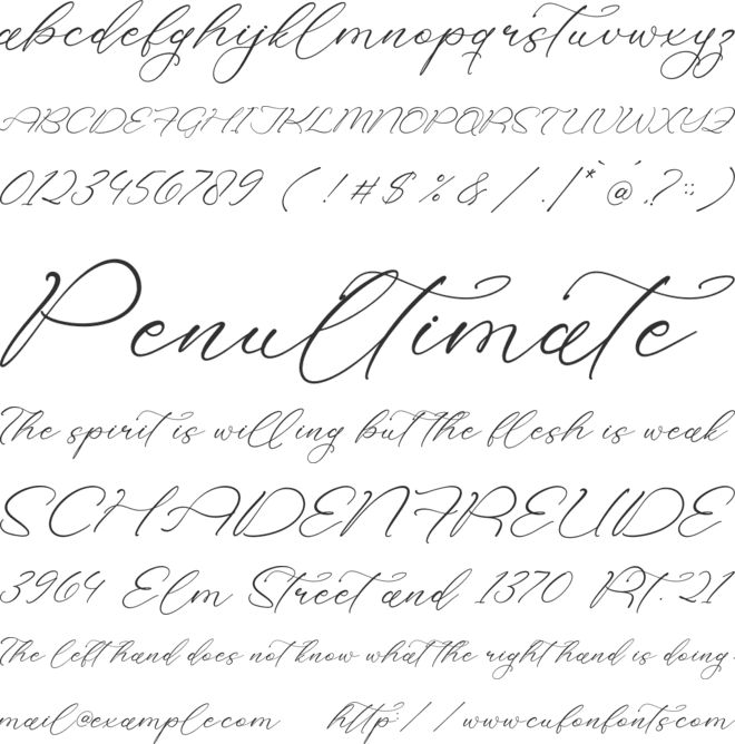 Holicakes Serfinah font preview