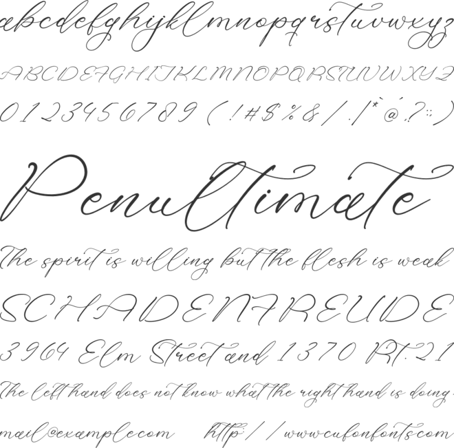Holicakes Serfinah font preview