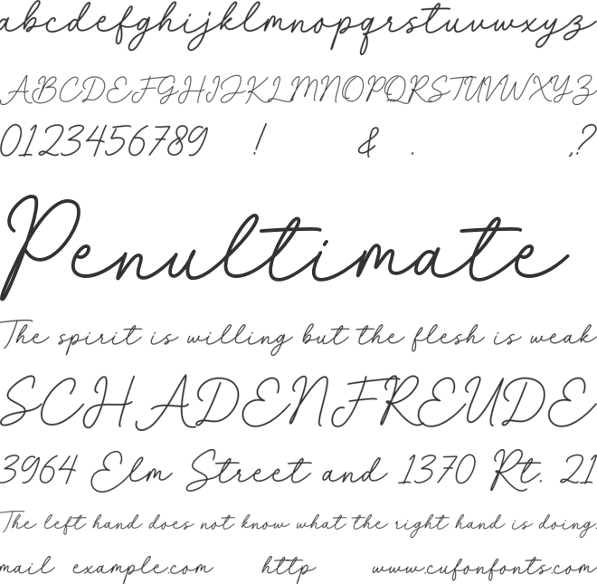 La Charly font preview