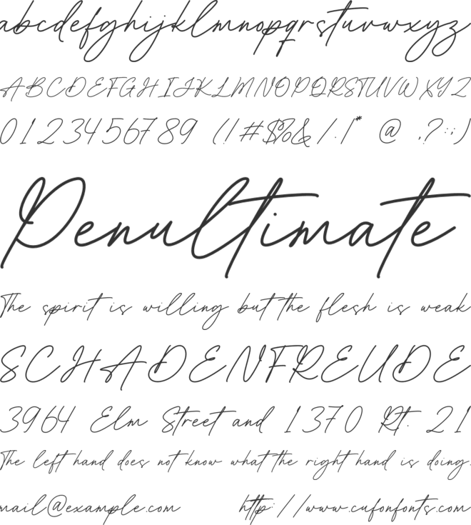Bridget Lily font preview