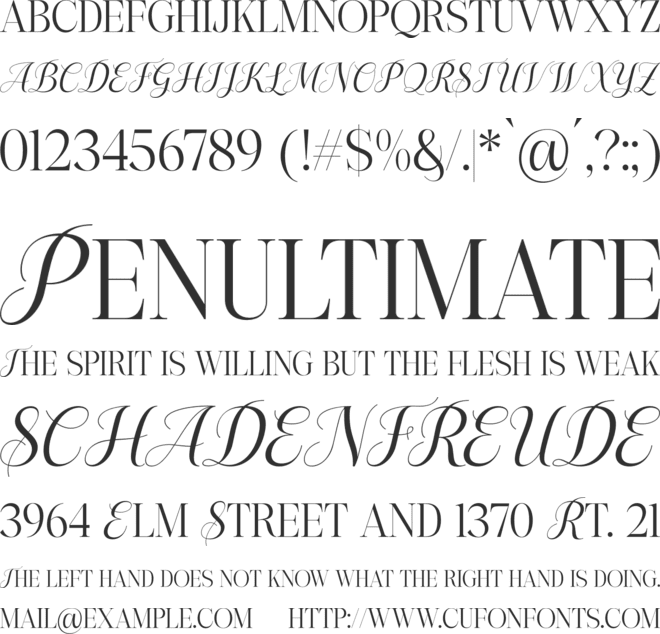 Angela Brown font preview