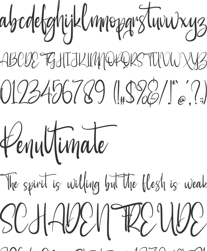 Shantina font preview