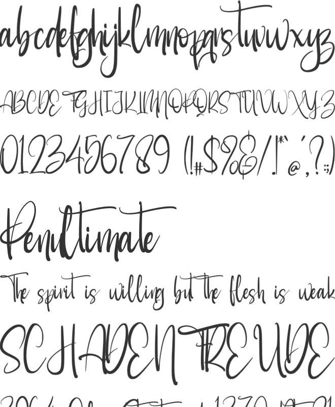 Shantina font preview