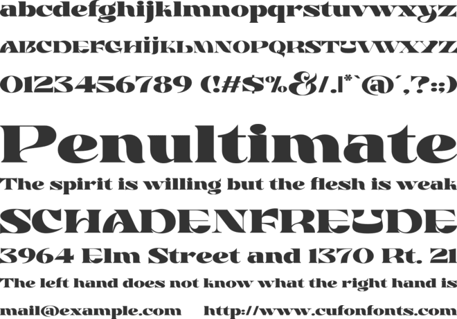 Plank Rollouts Display font preview