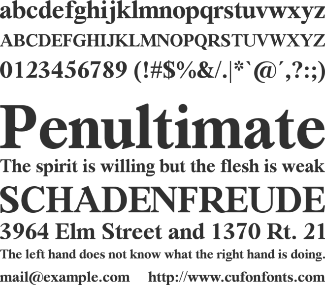 Segikan Serif font preview