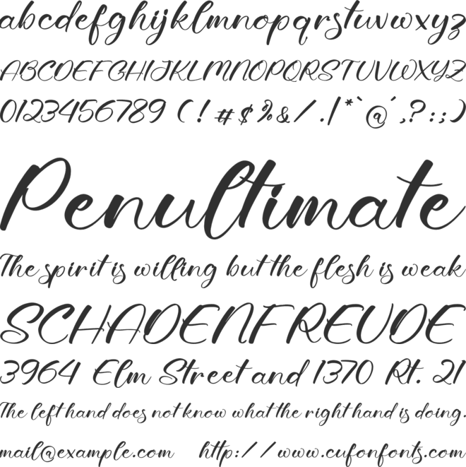 Wenslioth Moondia font preview