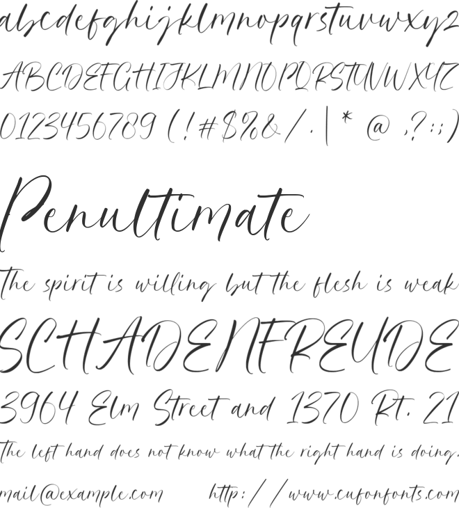 Hillary Austine font preview