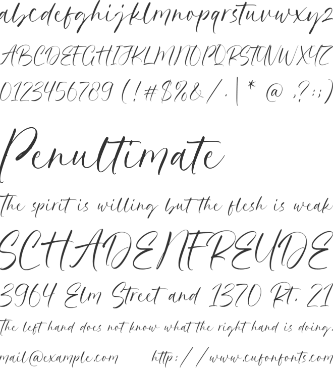 Hillary Austine font preview