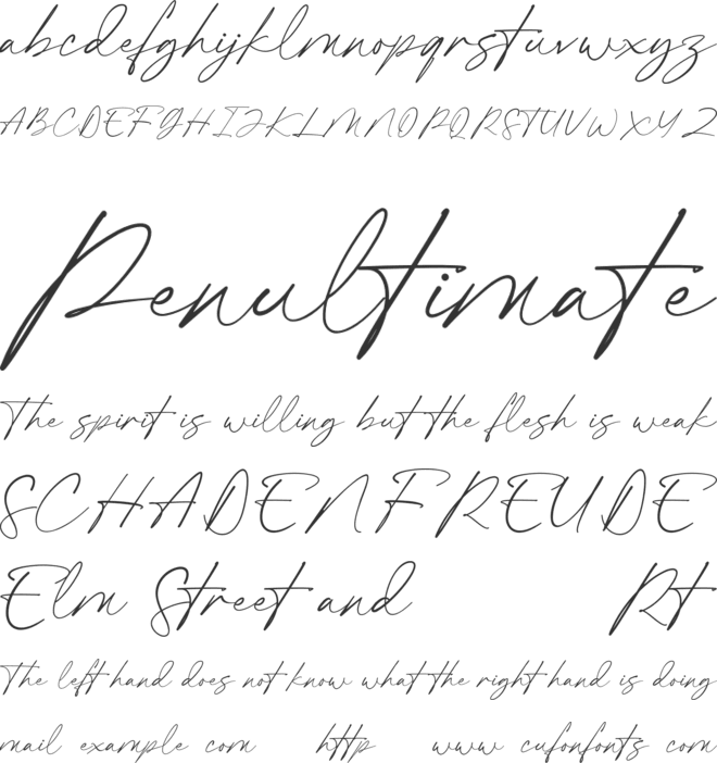 Backlift font preview