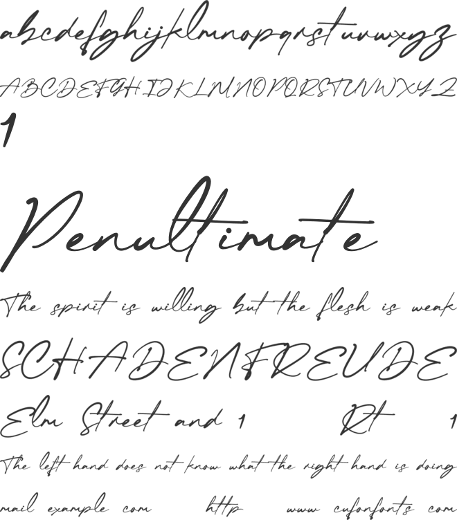 Nort Milk font preview