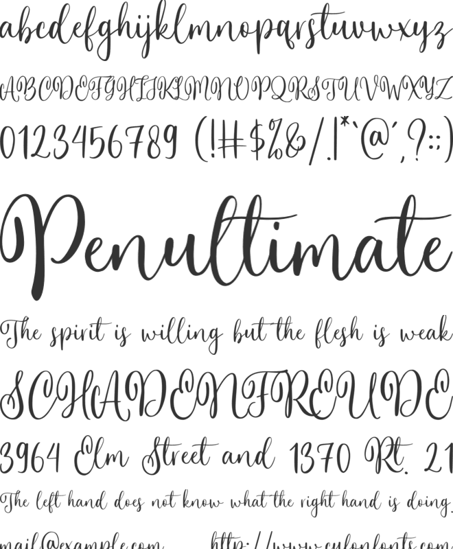 Winter Vista font preview