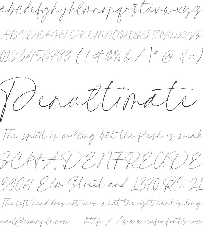 Wilberty font preview