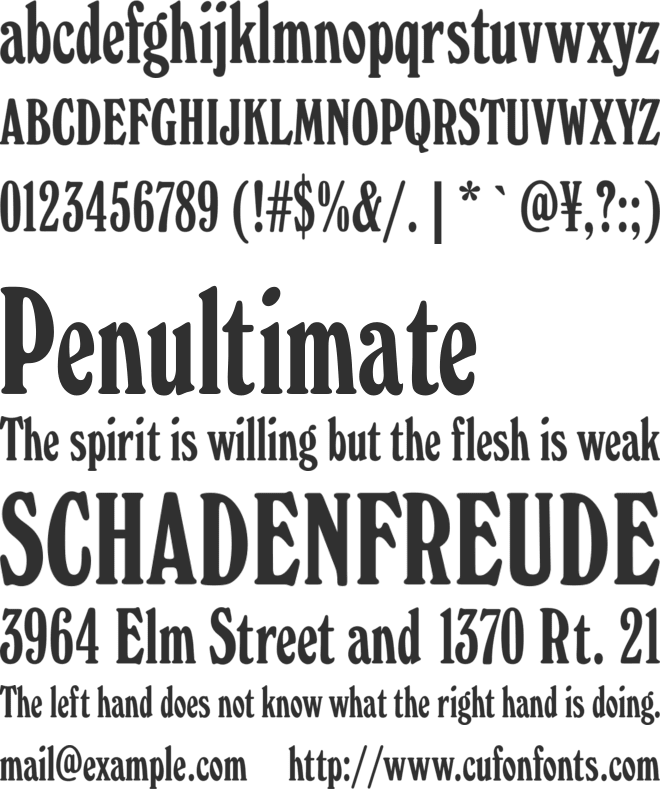 Windsor Elongated font preview