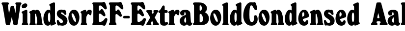 WindsorEF-ExtraBoldCondensed font