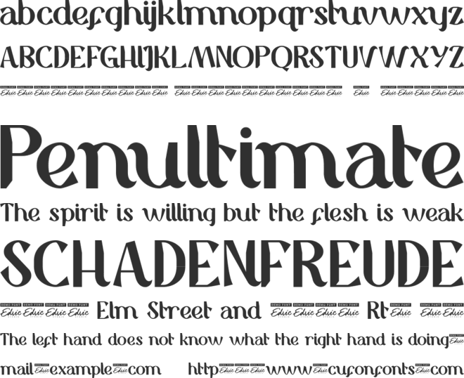 StephCarlySansSerifD font preview