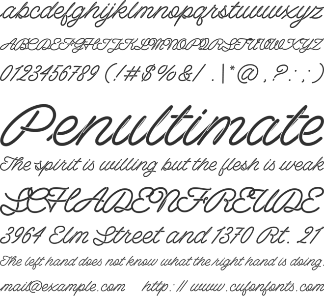 Barista Script font preview