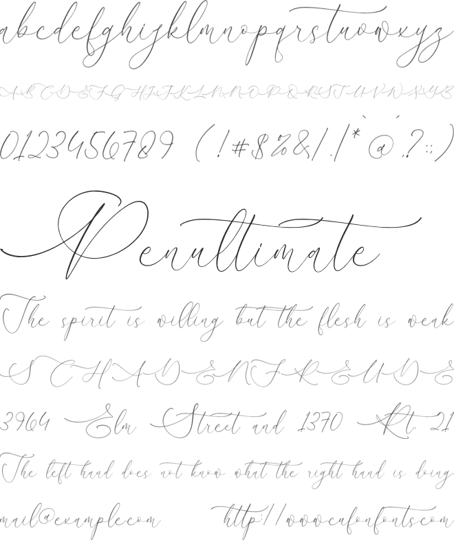 August Sterling font preview