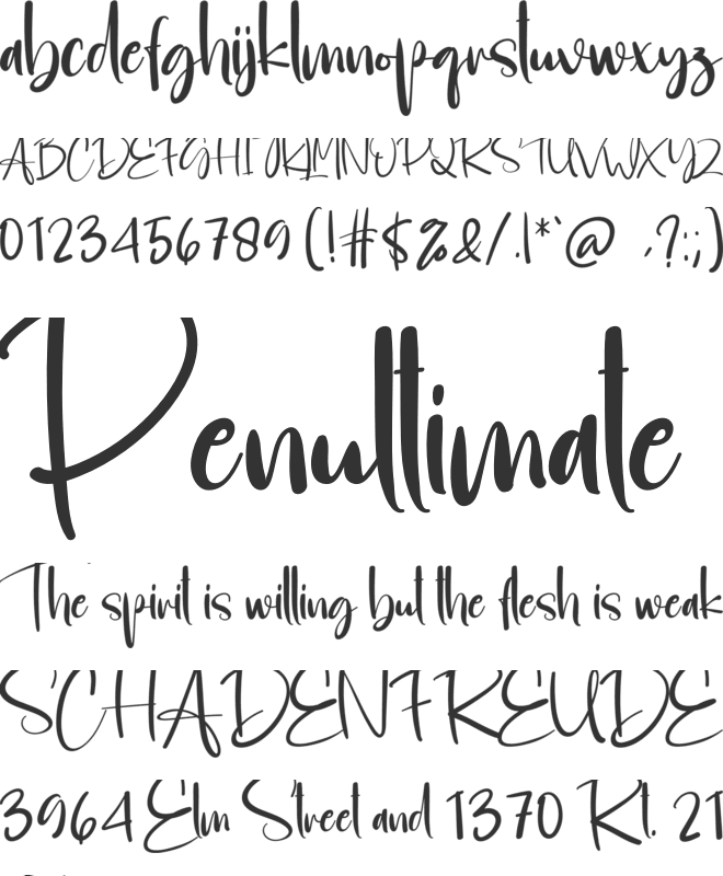 Housebold font preview