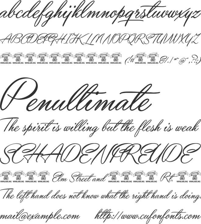 Yaquote Script Personal Use font preview