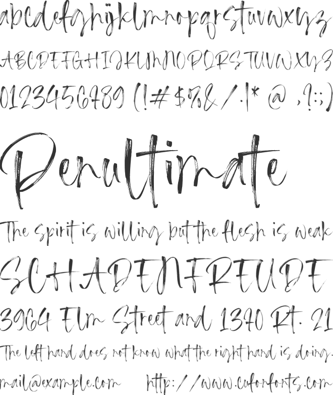 Jasmine Century font preview