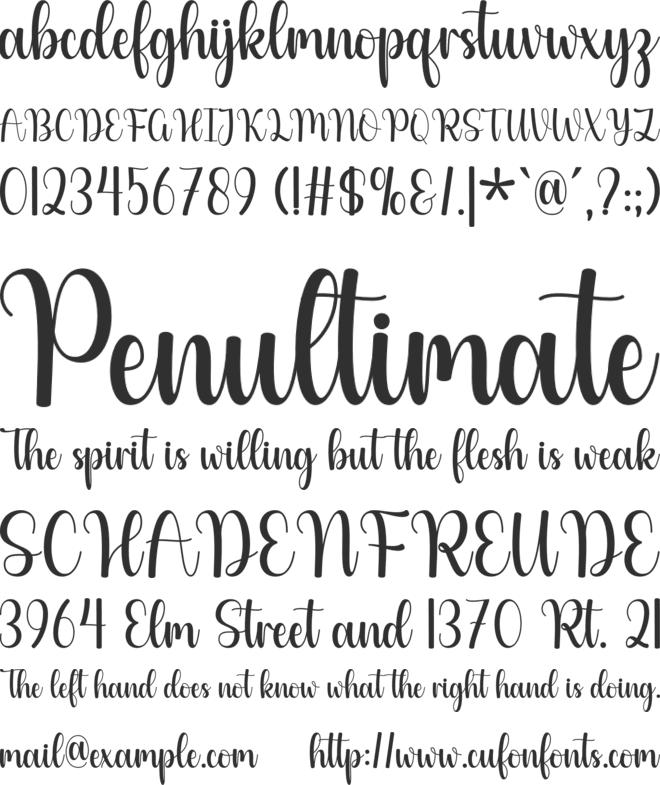 Wishing font preview