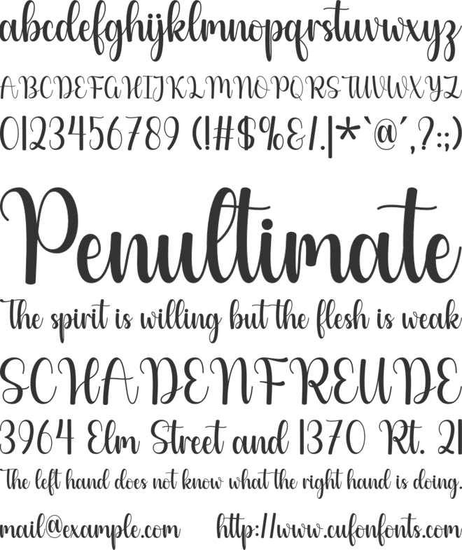 Wishing font preview