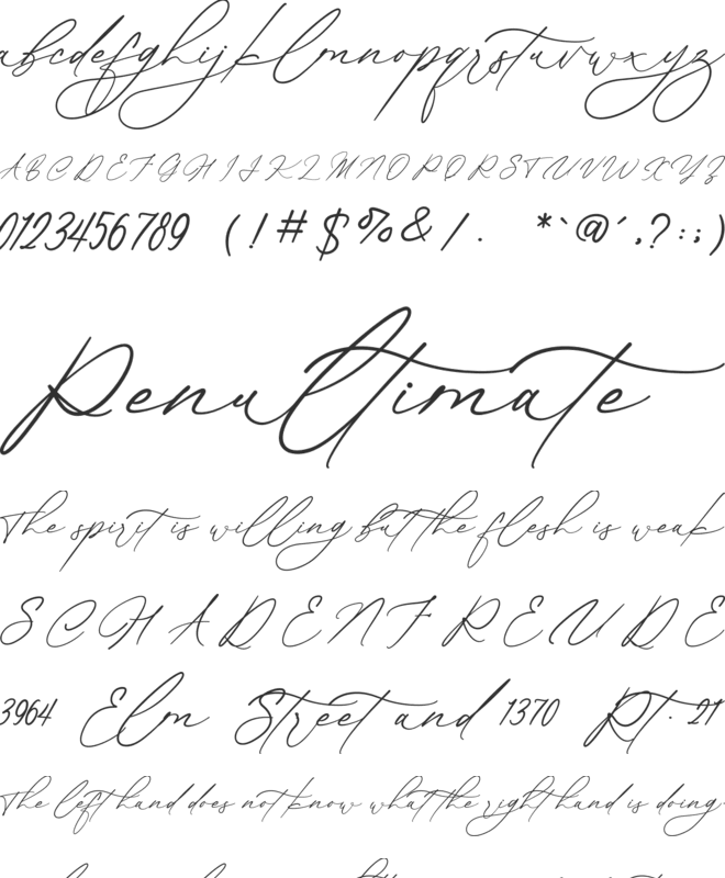 Routle Harmony font preview
