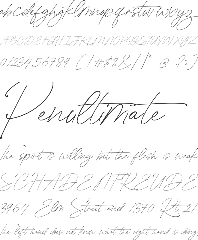 La Plata font preview