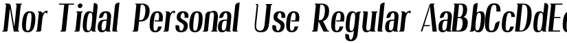 Nor Tidal Personal Use font download