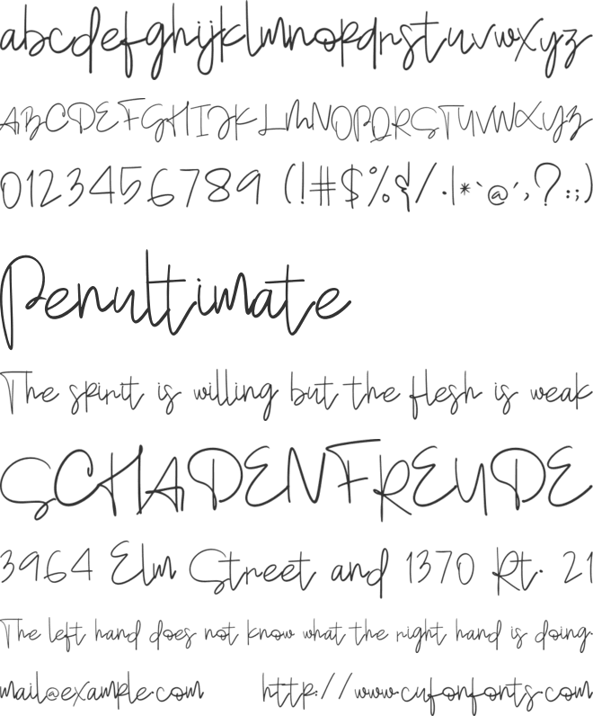 Momento font preview