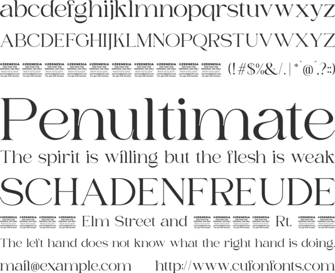 Bilgie Personal Use Only font preview