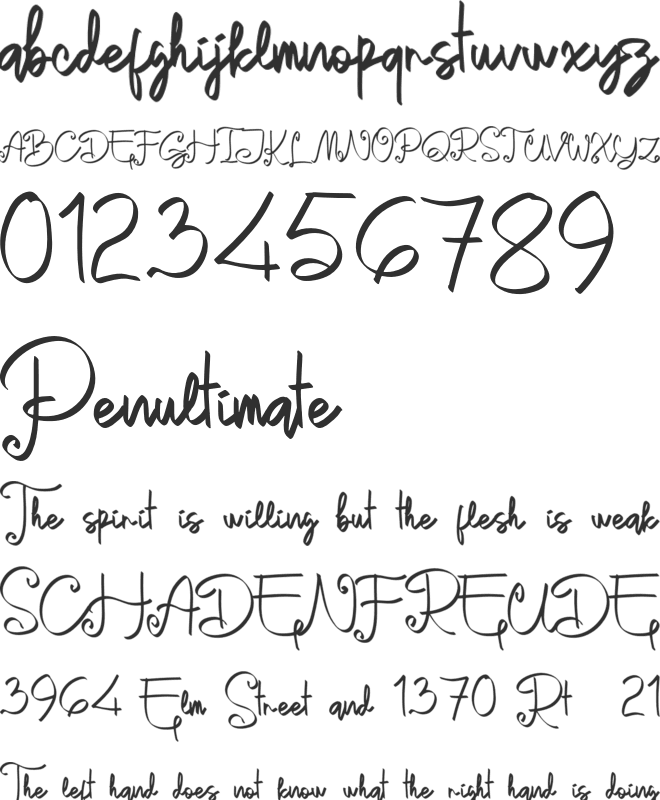 Dunyah Personal Use font preview