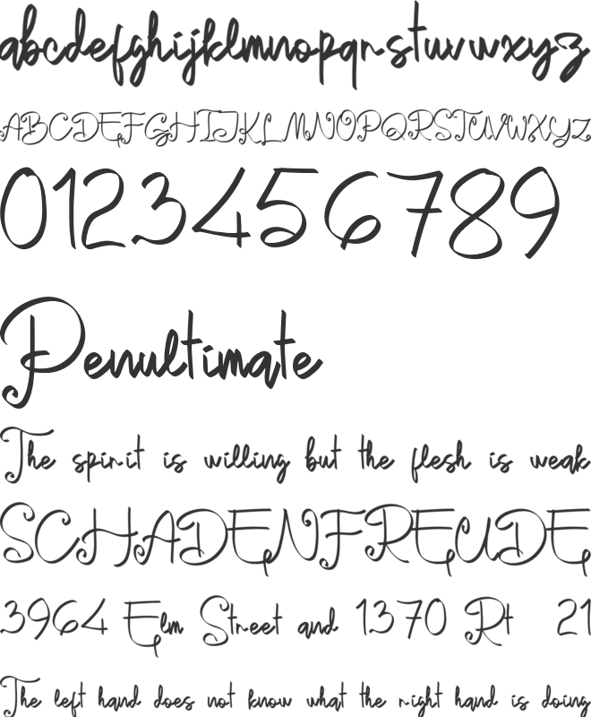 Dunyah Personal Use font preview