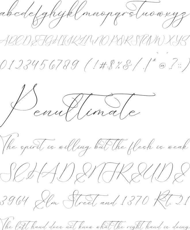 Portterda font preview