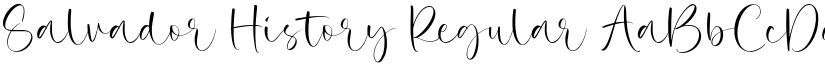 Salvador History Regular font