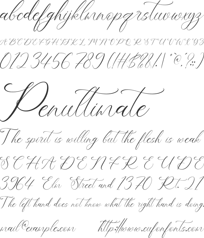 NCL Belonit  Wendystaq font preview