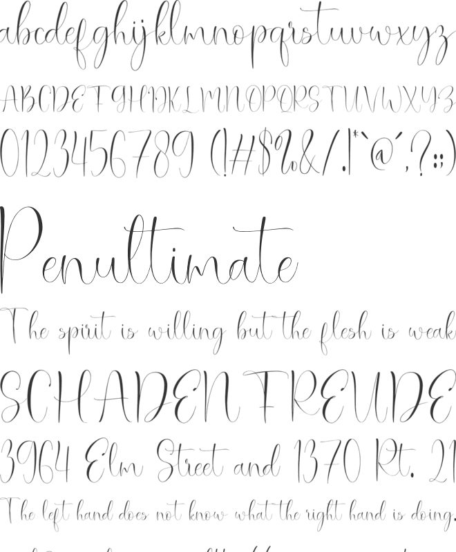 NCL Oesbeq Boopsy font preview