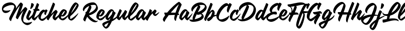 Mitchel Regular font