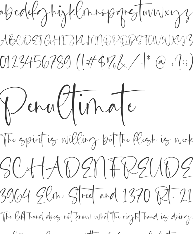 Calista Brighton font preview