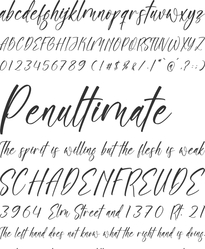 Sonesta font preview