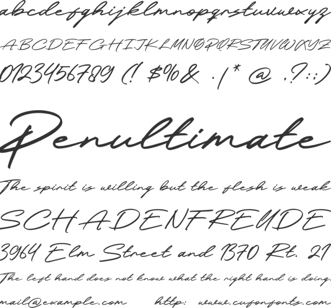 Cashrole font preview