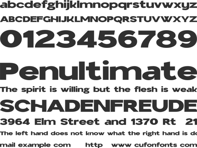 Bandica Personal Use font preview