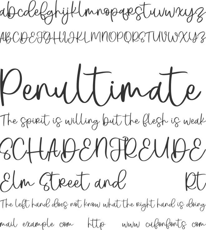 Bogatess Script font preview